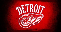 Red wings winter classic