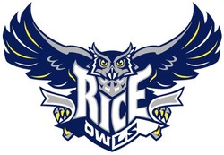 Rice owls