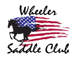 Saddle club