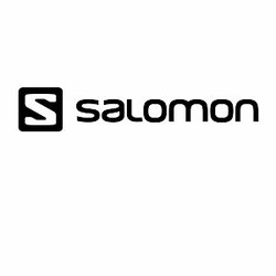Salomon brothers