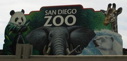 San diego zoo