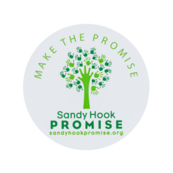 Sandy hook promise