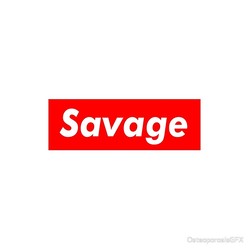 Savage box