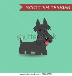 Scottie dog