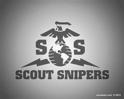 Scout sniper