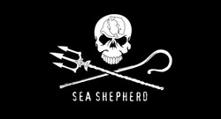 Sea shepherd