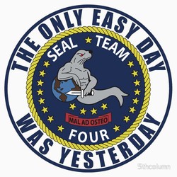 Seal team 3