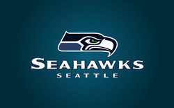 Seattle seahawks new