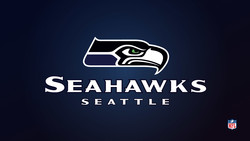 Seattle seahawks new