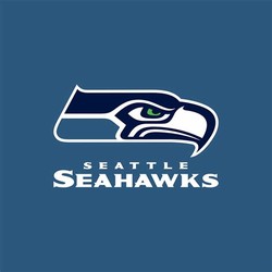 Seattle seahawks team