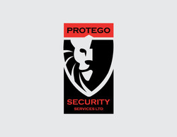 Security company