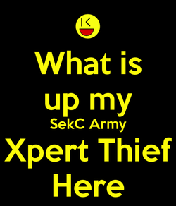 Sekc army