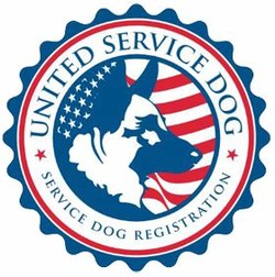 Service dog