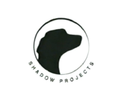 Shadow projects