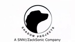 Shadow projects