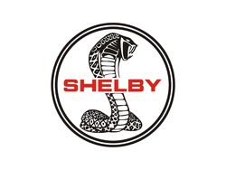 Shelby car