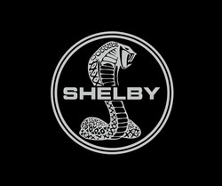Shelby car