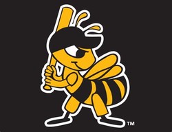 Sl bees