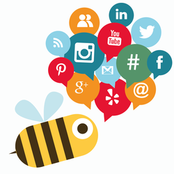 Social media bee