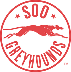 Soo greyhounds