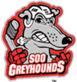 Soo greyhounds