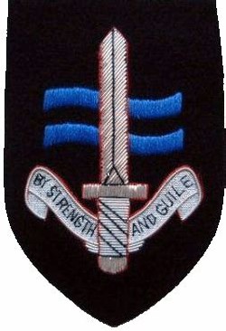 Special boat service