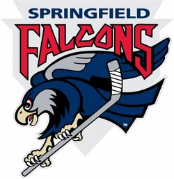Springfield falcons