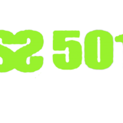 Ss501