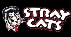 Stray cats band
