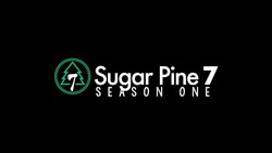Sugar pine 7