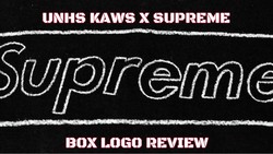 Supreme kaws box