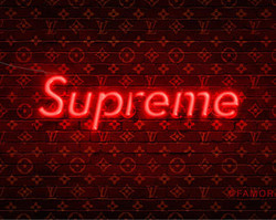 Supreme neon box