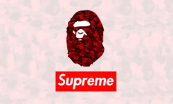 Supreme x bape box
