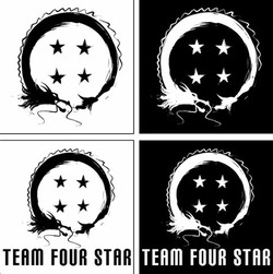 Team four star