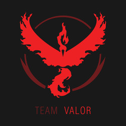 Team valor