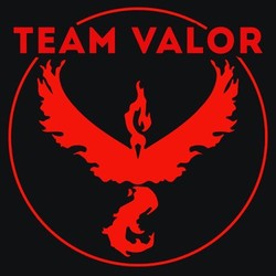 Team valor