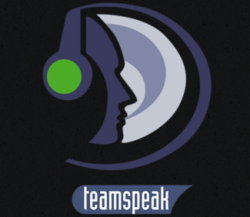 Teamspeak 3 server