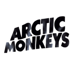The arctic monkeys
