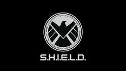 The avengers shield
