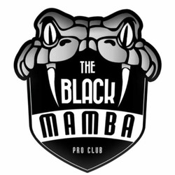 The black mamba