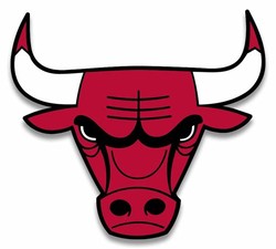 The chicago bulls