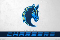 The new chargers