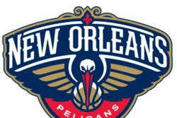 The new orleans pelicans