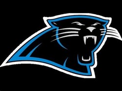 The panthers