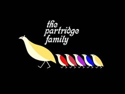 The partridge family