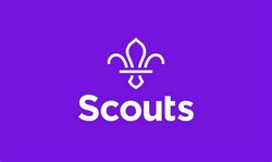 The scout