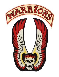 The warriors vest