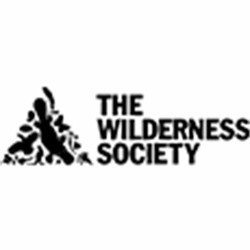 The wilderness society