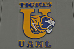 Tigres uanl