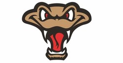 Timber rattlers